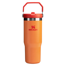 STANLEY 經典系列 IceFlow 手提吸管杯, 熱帶橙, 880ml, 1個