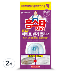 홈스타맥스 퍼펙트 변기 클리너