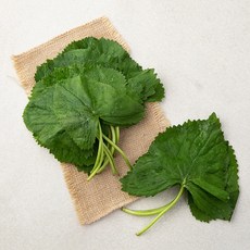 국내산 곤달비, 100g, 1봉