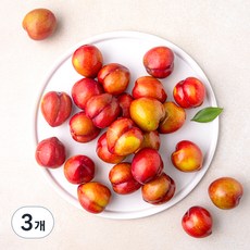 가족 의성 당도선별 대석자두, 1.2kg(대), 3개