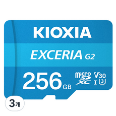 키오시아 EXCERIA 마이크로 메모리 카드 홈캠 블랙박스 CCTV SD LMEX2L256GG4, 256GB, 3개