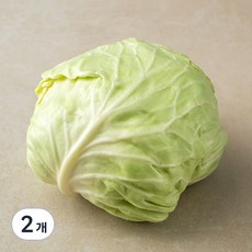 국내산 유기농 양배추, 1통, 2개 1통, 2개