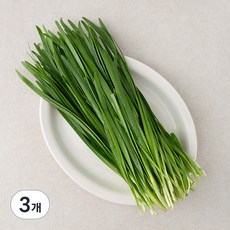 김해 대동 부추, 300g, 3개