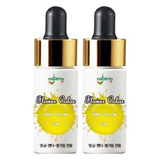 내팜 플라워 아이싱칼라, 30g, 2개