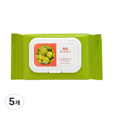 홀리카홀리카 데일리 프레시 촉촉 올리브 클렌징 티슈 300g, 60개입, 5개