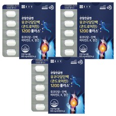 종근당 관절연골엔 뮤코다당단백 콘드로이친 1200 플러스 54g, 60정, 3개