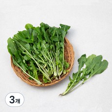 국내산 루꼴라, 100g, 3개