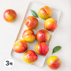 이로운 군위 당도선별 추희 자두 특대, 1.2kg, 3팩