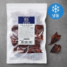 동명상회 구운미니오징어다리 (냉동), 300g, 1개