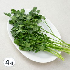 국내산 이탈리안 파슬리, 30g, 4개