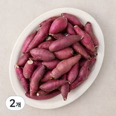 국내산 한입 꿀맛 밤고구마 (햇), 1.5kg, 2개