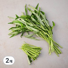 국내산 공심채, 150g, 2개