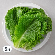 국내산 친환경 청상추, 200g, 5봉