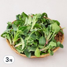 국내산 부지깽이나물, 250g, 3개