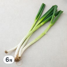 국내산 친환경 대파, 500g, 6개