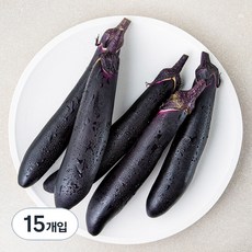 국내산 가지, 15개