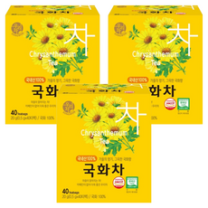 우리차 국화차 티백, 500mg, 40개입, 3개