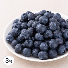 딜리조이 제주 블루베리(대), 100g, 3팩