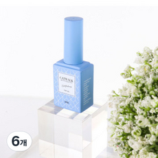 캣워크 탑 젤, 6개, 18ml