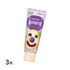 복음자리 바로 짜먹는 블루베리잼, 100g, 3개