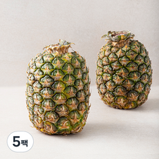 만나다 골드 파인애플 2입, 2kg, 5팩