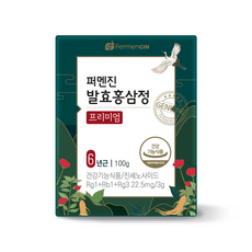 퍼멘진 발효 홍삼정 프리미엄, 100g, 1개 100g, 1개