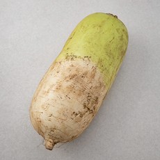 강원도 고랭지 무, 900g, 1개, 1개입