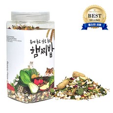 햄스터-추천-상품