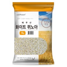아이보리퀴노아-추천-상품