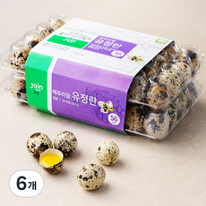 조인 무항생제 메추리알 유정란 56구, 504g, 6개