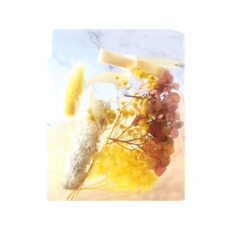 A-ONE 匯旺 浮游花DIY花材包 Set 3, 天然植物乾燥花 12 x 12 CM, H46 金輝暖陽 彩色
