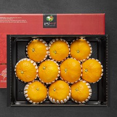 올레길 GAP 인증 당도선별 레드향, 3kg(9~12입), 1박스