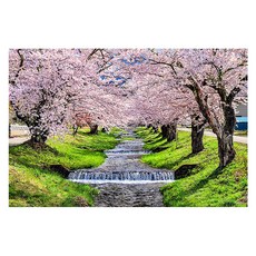 피포페인팅 만개한벚꽃풍경 그림 DIY 40 x 50 cm pipo-2054