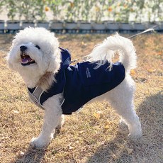리스펫 강아지 투포켓 따끈패딩, 블루, 1개