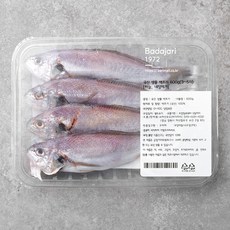 바다자리 국산 생물 손질 백조기 3~5미, 600g, 1개