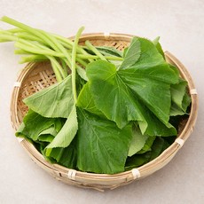 국내산 호박잎, 300g, 1봉