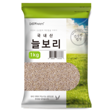 대구농산 2023년산 햇곡 국산 늘보리쌀, 1kg, 1개