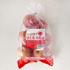 곰곰x농협 영주 보조개 사과, 3kg, 1봉