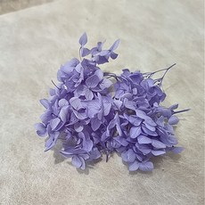투톤수국코사지