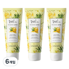 에네스티 온천수 가득 클렌징폼 촉촉 알로에 & 허니, 140ml, 6개