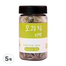 내몸에약초 모과차, 1g, 20개입, 5개