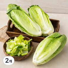 국내산 로메인, 1kg, 2개 1kg, 2개