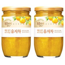 복음자리 배를 넣어 부드러운 유자차, 480g, 1개입, 2개 480g, 2개