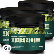 치커리분말