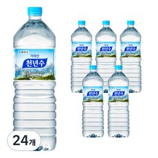 천년수 생수, 2L, 24개