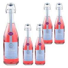 Elixia 블랙커런트맛 탄산음료, 750ml, 5개