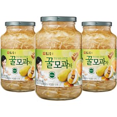 담터 꿀모과차, 1kg, 1개입, 3개