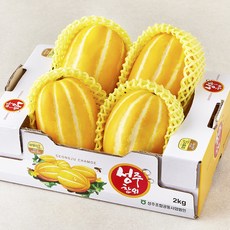성주 당도선별 참외, 1박스, 2kg(대과, 4~5입)
