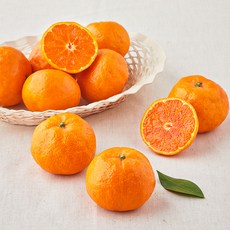 곰곰 당도선별 12brix 카라향, 1.2kg, 1개