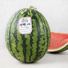 진안고원 마이산 GAP 당도선별 11.5brix 수박, 8kg 미만, 1통